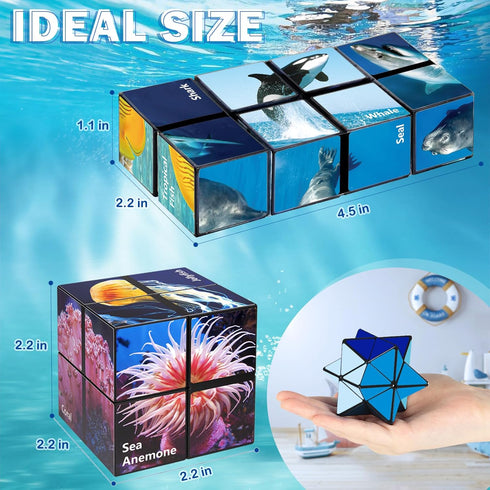Star Cube Magic Cube Set, 2 in 1 Yoshimoto Cube for Kids and Adults, Toys for Ages 8-12