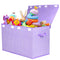 Large Toy Box Chest with Flip Lid, Toy Storage Organizers Bin Boxes with Sturdy Handles for Kids, Nursery, Playroom