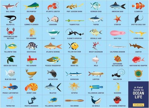 Ocean Life Search & Find Puzzle