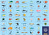 Ocean Life Search & Find Puzzle