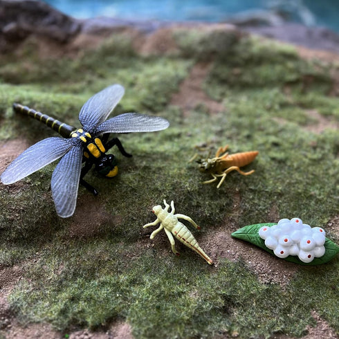 Gemini & Genius Life Cycle of Mosquito and Dragonfly Figurines, Insect Growth Diary Action Figures, Learning Gifts