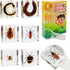 Insect Specimen Set, Bugs Collection Scientific Education Gift for Kids Aged 3-8-12