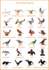 Realistic Bird Figurines, 24pcs Eagle, Parrot, Robin, Owl Toys, Educational Dollhouse Accessories, Birthday Cake Topper