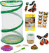 Insect Lore Butterfly Garden - 8" Habitat with 1 Cup Live Baby Caterpillars, Life Cycle Figurines & Stickers Gift Set