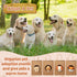 36 Pcs Mini Plush Toy Stuffed Animals Set with 10 White Fence, 12 Gift Bags, Chalkboard Signs for Birthday Party