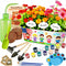 IELEK Paint & Plant Kids Gardening Kit Arts and Crafts Toys - Toddler