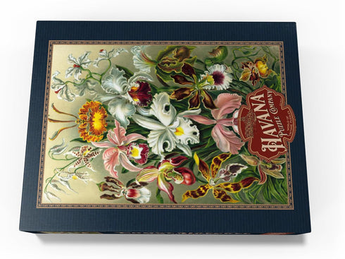 MyPuzzle Orchid - Vintage Art Poster, Ernst Haeckel - Premium 1000 Piece Jigsaw Puzzle for Adults