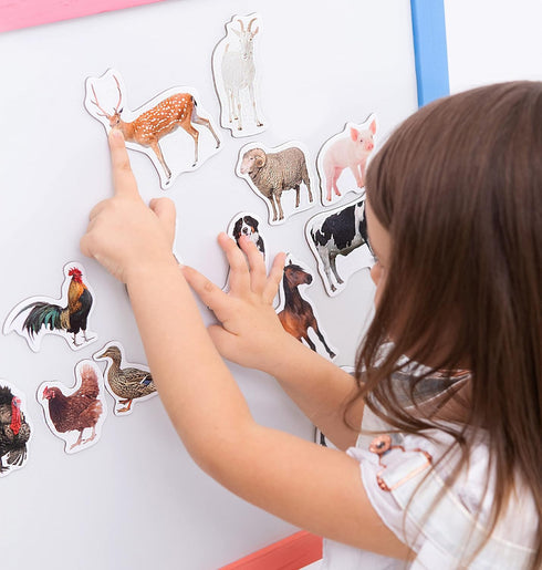 Fridge Magnets for Toddlers - Magdum, 16 Farm Animal Magnets for Refrigerator, Educational Gift for Kids