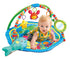 (L30 W30 Inch) Baby Activity Play Gym Mats Ocean Park with Arches, Activity Toys, Animals Toys x