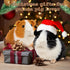 2pc Guinea Pig Stuffed Animals, Realistic Plush Cute Plushie Toys for Kids Birthday