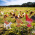 FLORMOON 72pcs Animal Figures, Realistic Mini Dinosaur Insect Sea Farm Reptile Wild Jungle Animal Toys, Early