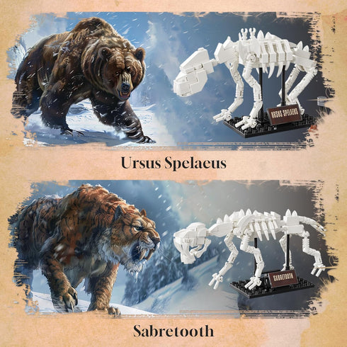 6 in 1 Fossil Building Kit - Compatible with Lego Dinosaur Natural History Museum, 928 PCS Educational STEM Toys