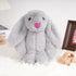 shiguangji 11.8 Bunny Stuffed Animal Plush Toy in, Soft Rabbit Plush for Babies and Toddlers, Cuddly Bunny Toy