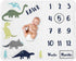 Sweet Jojo Designs Mod Dino Boy Milestone Blanket Monthly Newborn First Year