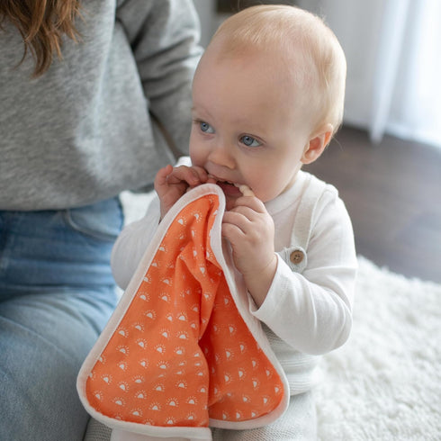 100% Set 0m+ Dr. Brown's Lovey Blanket with Teether Ring and HappyPaci Silicone One-Piece Pacifier, Soothing Security