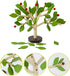 Early Childhood Building Blocks Wooden Assembling Tree Combination Boys and Girls DIY Disassembly Puzzles Educational Toys Home Office Decoration (Green)-3 Yrs+