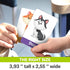 Quokka ABC Learning Flash Cards for Toddlers 2-4 Years Old - 60 Flashcards Educational Game