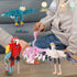 Oichy Bird Animals Building Block Set, 6 Pack Animal Figures Building Toy, Creative Party Favors for Kids Ages 6+