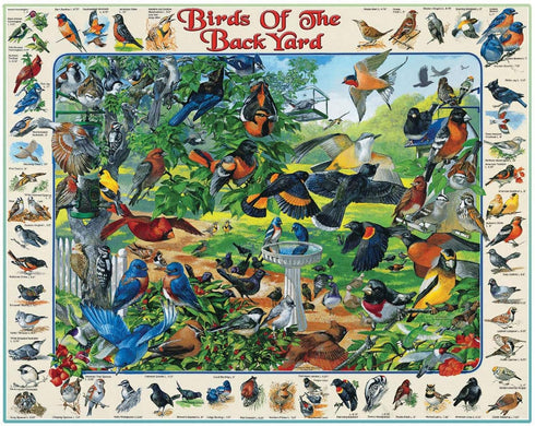 White Mountain Puzzles - Birds of the Backyard - 1000 Piece Jigsaw Puzzle