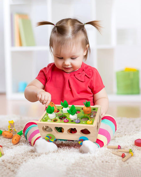 3 4 5 Coogam Montessori Fine Motor Toys for Baby Toddler, Wooden Shape Sorter Carrot Harvest Game for Easter Basket
