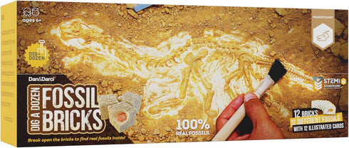 Dig a Dozen Fossil Bricks - Break Open 12 Bricks and Discover Unique Real Fossils