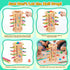 WhimsiPlay 42-Stick 3 4 5 6 Counting, Montessori Wooden Board Game, Dice Game, Math Puzzle Toy for Kids Years Old