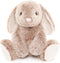 WEIGEDU Bunny Rabbit Stuffed Animals Plush Toys for Kids Girls Boys Baby