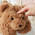 20.5" 2Lbs, (20.5"x7.9"x5.9") Weighted Teddy Bear Stuffed Anima Sturdy and Fluffy Brown Bear Plush Toy for Kids Cuddle