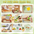 Kids Knife Set for Real Cooking - 15 PCS Montessori Kitchen Tools with Safe Knives, Cutting Board, Crinkle Cutters