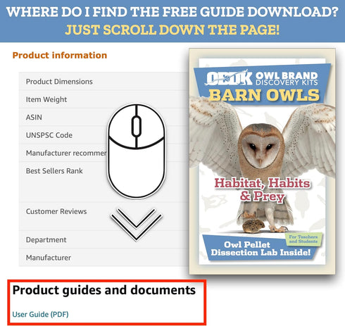 Barn Owl Pellet Kit, Jumbo 2 Inches and Larger, Science Tools & Chart for Teachers, Kids, and Students