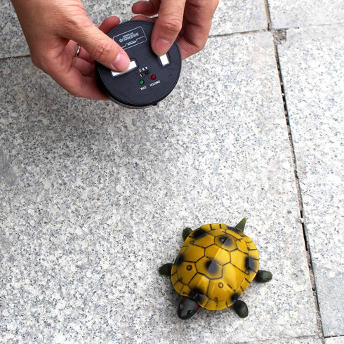 Remote-Controlled Tortoise Toy Car for Kids - Brown