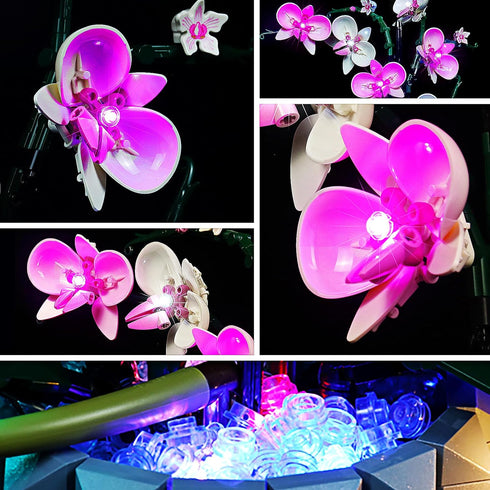 LED Lighting for Lego Orchid 10311, Light Kit Compatible with Lego Model Set (Music Version)