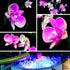LED Lighting for Lego Orchid 10311, Light Kit Compatible with Lego Model Set (Music Version)