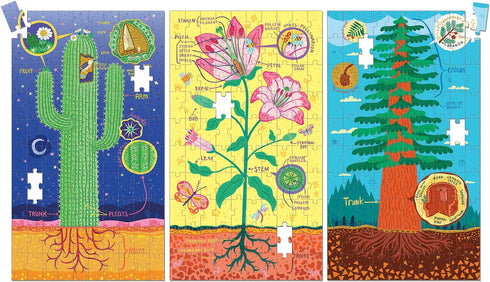 Plant Anatomy Science Puzzle Set from Mudpuppy - Includes Three 100 - Piece Puzzles with Colorful Illustrations, Ages 6+, Trifold Insert with Fun Science Facts Included