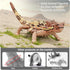 6PCS Large Lizard Figurines Rainforest Animal Toys, Realistic Plastic Reptile Animal Figurines, Includes Bearded