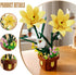 EITOLNR Set, 8-12 (296Pcs) Flowers Botanicals Lily Building Artifical Plants Bonsai Building Blocks Toys