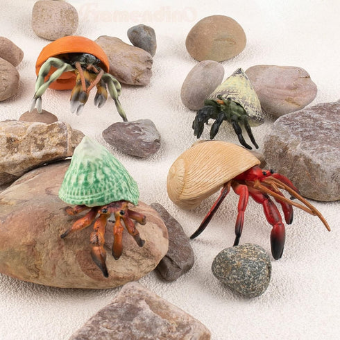 Framendino 4 Pack , Realistic Sea Animals Hermit Crab Model for Home Decorations