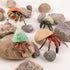Framendino 4 Pack , Realistic Sea Animals Hermit Crab Model for Home Decorations