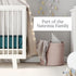 Natemia Fitted Pack and Play Sheet, 100% Organic Cotton for Standard Size Playard, Ultra Soft Jersey Knit