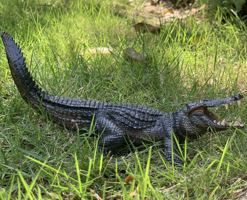 Gemini&Genius 10 Inch Crocodile Toy with Moveable Jaw, Wildlife World Alligator Model