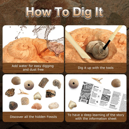 Byncceh Fossil Dig Kit - Educational STEM Science Toys for Kids Ages 6+ - Dig Up 12 Real Fossils & Dinosaur Bones