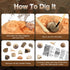 Byncceh Fossil Dig Kit - Educational STEM Science Toys for Kids Ages 6+ - Dig Up 12 Real Fossils & Dinosaur Bones