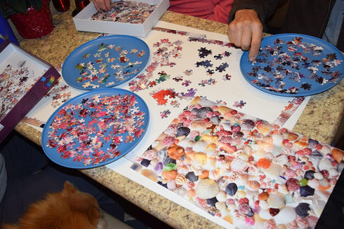1000 Parachute Puzzles Sea Shore Sea Shells - Seashell and Seashore Beach Jigsaw Puzzles Pieces for Adults Bright
