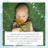 (0-6 100% Simply Rubber Pacifiers - Preemie - Shorter Nipple (Less Gagging) - Small Newborn mos) - Breastfed Babies