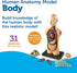 31 3+, 8+ Learning Resources Human Body Model, Science Classroom Demonstration Tools, Realistic Human Anatomy Display