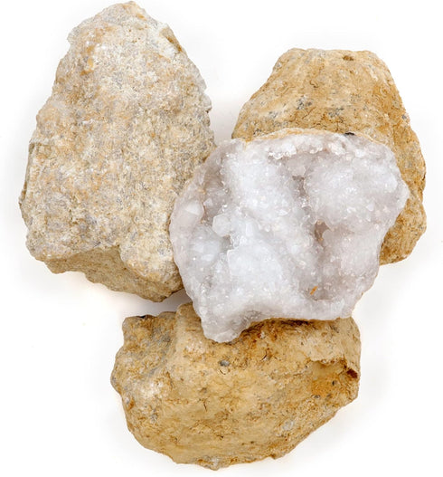 DANCING BEAR 25 Break Your Own Geodes – Medium 1-1.5", 90% Hollow, Educational Info & Instructions Included
