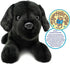 12 Inch TigerHart Blythe The Black Lab - Stuffed Animal Plush