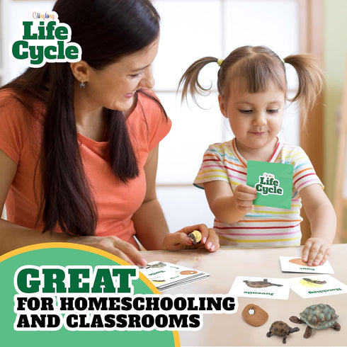 24-Piece 3-8 Life Cycle Animal Kit - Montessori Science Toy with Matching Game, Butterfly, Frog, Chicken, Bee, Ladybug