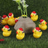 kapeiluo 50Pcs Mini Resin Ducks, Mini Christmas Ducks Miniature Duck Figures Ornament for Craft, Dollhouse, Garden