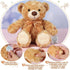 Liliful 12 Inch Plush Bear Stuffed Animal, Recordable Sound Module, Brown Bear Soft Doll for Party Gift